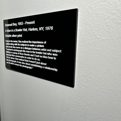 art gallery sign, art collector gift, artist info placard, museum sign, custom gallery sign, artist info card, plaque for art gallery, museum art plaque, art description plaque, exhibit labels, exhibit art labels, museum card, custom art plaque, personalized art card, art enthusiast gift, home art gallery, atlanta art gallery sign, alabama art gallery sign, florida art gallery sign vendor, lioness engraving, gallery supplies in atlanta, atlanta art scene, how to start an art gallery, opening up a gallery